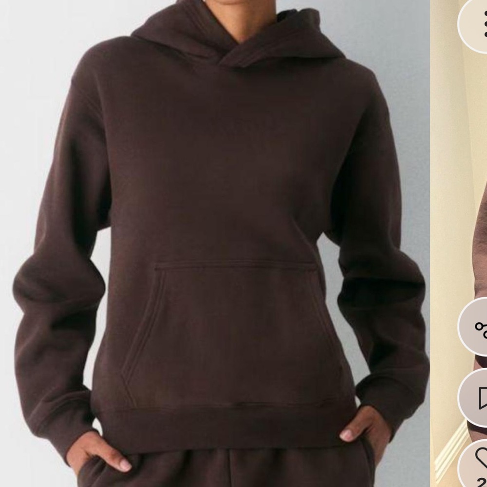 Aritzia  Brown Hoodie